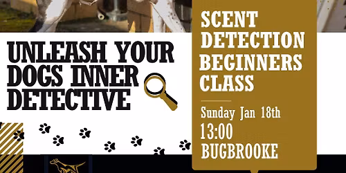 Scent Detection Beginners course