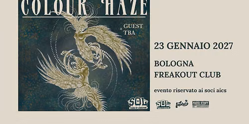 Colour Haze | Freakout Club