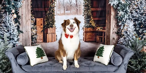 45th Annual Santa Comes to the Pets Photography Event-Page and Lindbergh