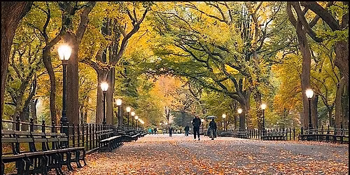 Self Guided "Central Park Movie Tour" Solo Walking Tour in New York City