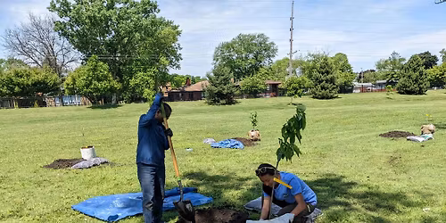 Mount Hope Cemetery Tree Planting