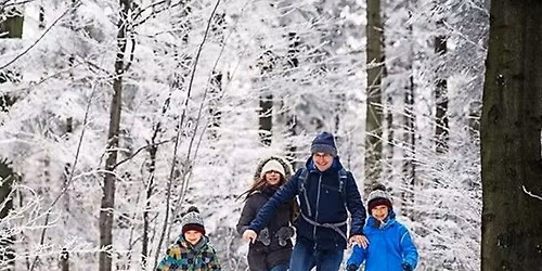 Discover Greylock Hike
