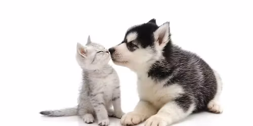 Holiday Karma Project for Crossroads Shelter