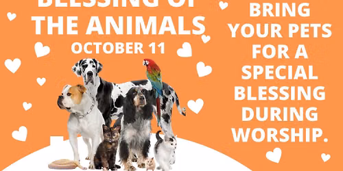 Blessing of the Animals