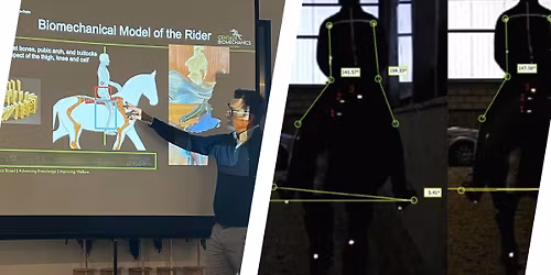 S\u00e5dan p\u00e5virker rytteren hestens pr\u00e6station under ridning