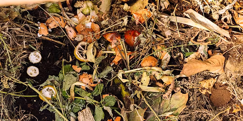 Fuzzy Earth - Open Pantry