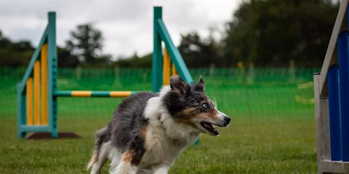 Intro to Agility