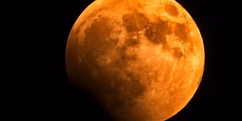 A Taste of Paradise & The Beaver Supermoon