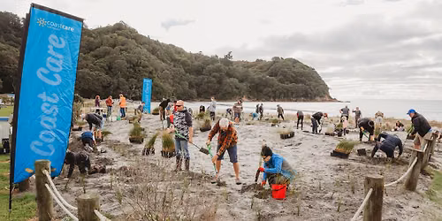 Community Planting Day: Waih\u012b Beach