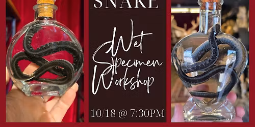 Snake Wet Specimen Workshop