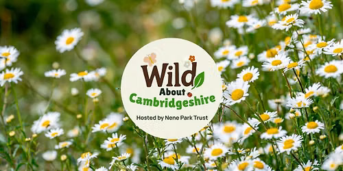 Wild About Cambridgeshire Festival