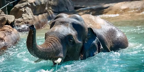 Hopkinsville YMCA Homeschool P.E.