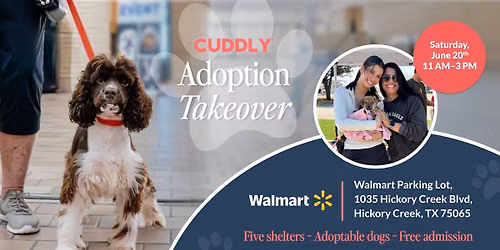 CUDDLY Adoption Takeover