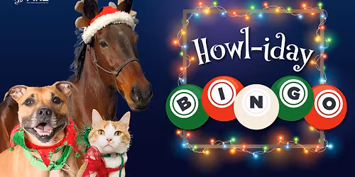 ARL Howl-iday Bingo