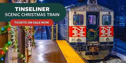 Tinseliner Scenic Christmas Train