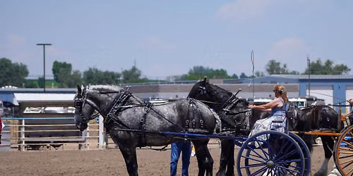 2026 CDHA Weld County Draft Horse Show