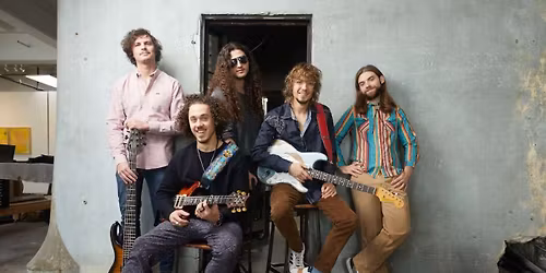 Parking Dogs In A Pile (18+)