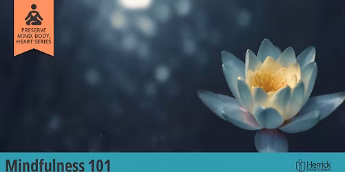Mindfulness 101