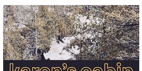 Karen's Cabin LIVE @ Brigid's Pub