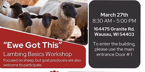 Ewe Got this - Lambing School
