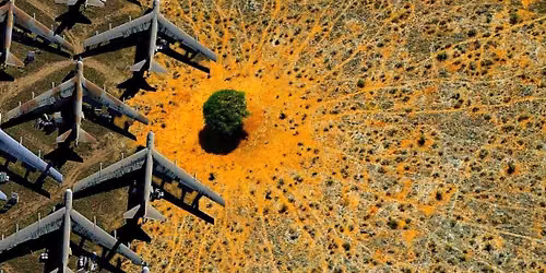 'Nature' documentary screening Canberra - Citizen COP 2026