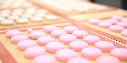 Macaron baking class