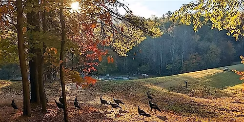 Thanksgiving Day Feast at Kanuga