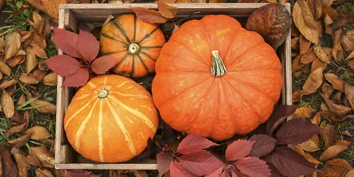 Thanksgiving Feast 2025