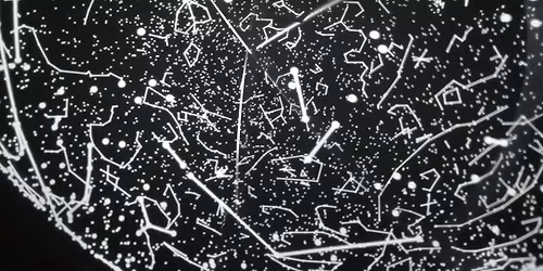 \u00a1 QUE SE VEA EL COLOR \ud83c\udfa8\ud83d\udc7d\u2604\ufe0f