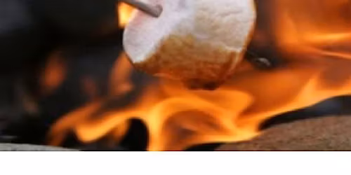 Willow Coppicing Family morning