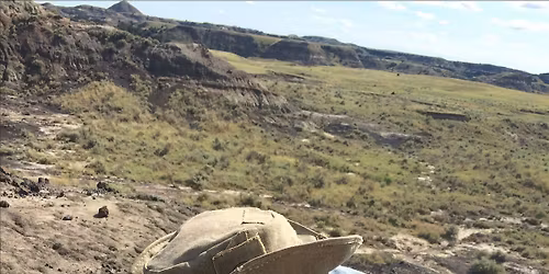 Trilobites and Treats: The History of Life in the Paleozoic Era