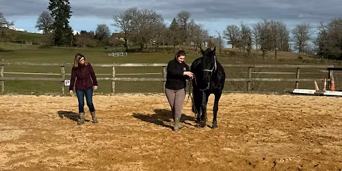 Stage \u00e9ducation \u00e9quine et coop\u00e9ration (1 journ\u00e9e, au choix 2 ou 3 mai)