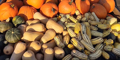 September 12th Market
