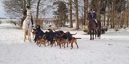 Highmoor Bloodhounds Boxing Day Meet @ Wetwang