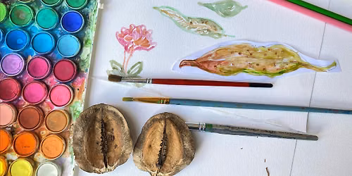 WORKSHOP: Botanical Illustration in the Garden