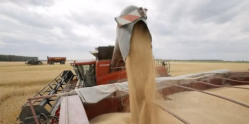 What's on your Plate?