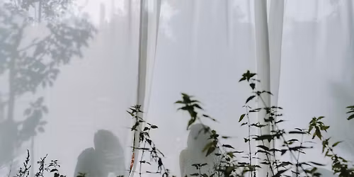 Wild Breathwork - Atemreise unter freiem Himmel in einem wilden Garten