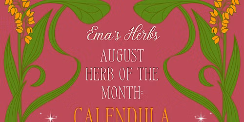 August Herb of the Month: Calendula with Fatima Chavez