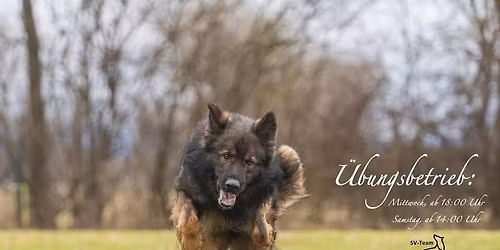 Fr\u00fchjahrspr\u00fcfung 2026