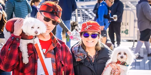 Alexandria Dog Fests