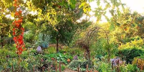 Permakult\u00fara-Kert\u00e9szked\u00e9s