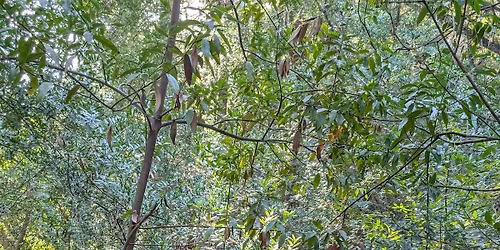 New year 2026 hike by Mindful Movement