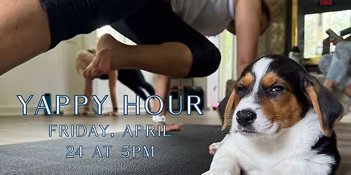 Yappy Hour - Puppy Yoga & Drinks!