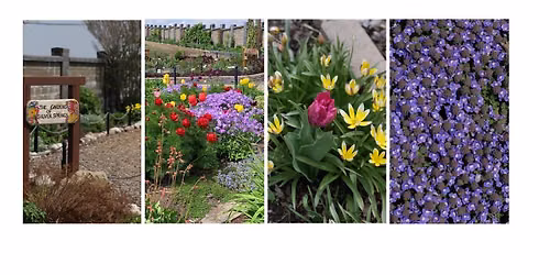 Botanical Gardens of Silver Springs Open Garden Tour