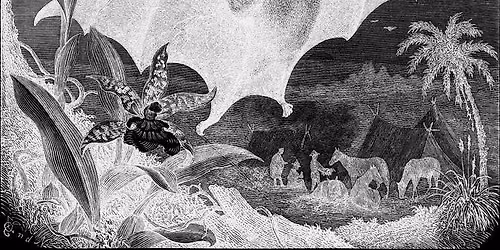 Fledermaus and Angel Rhodes at Lyle\u2019s in Evansville