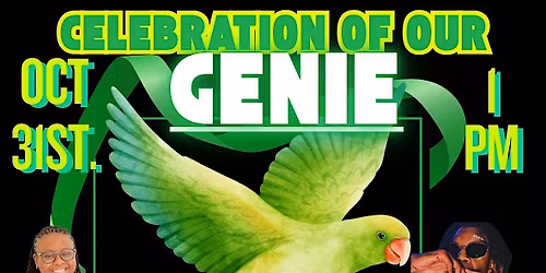 Celebration of our Genie