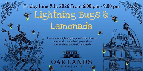 Lightning Bugs & Lemonade