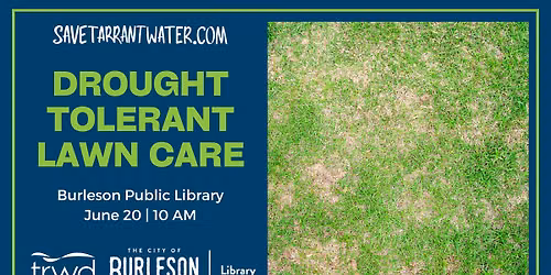 Drought Tolerant Lawn Care