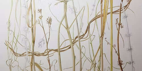December Botanical Painting Workshop