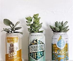 Brewed & Botanical